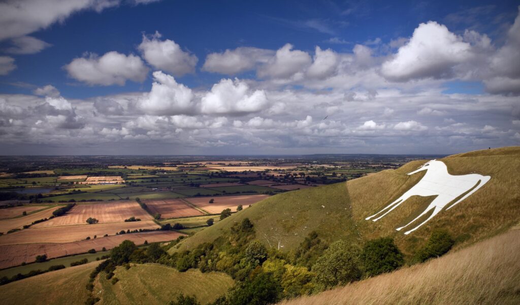 Lessons for restoration from the Wiltshire wilderness